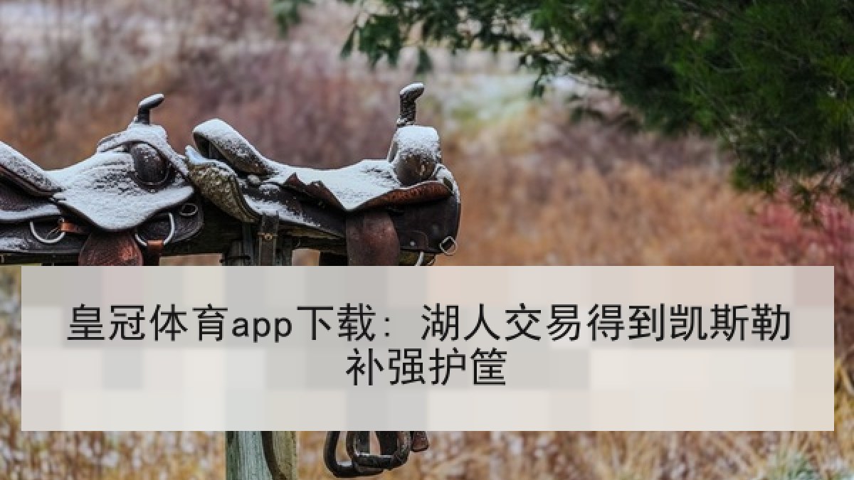 皇冠体育app下载: 湖人交易得到凯斯勒补强护筐