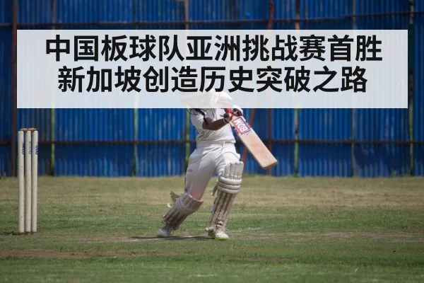 cricket match action